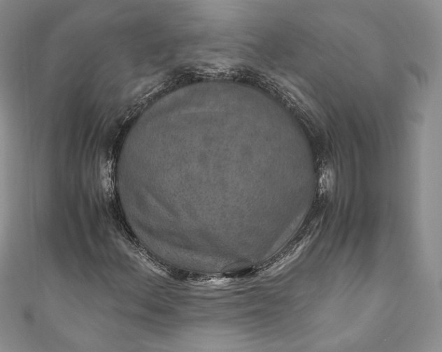 X0000110891156200907021511