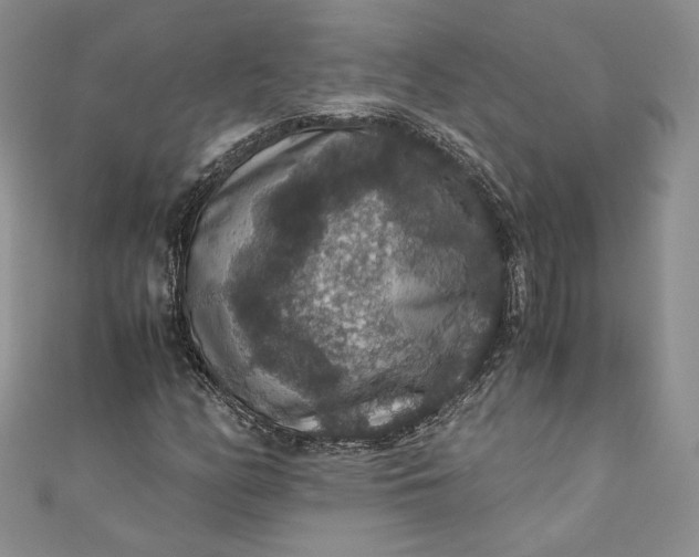 X0000110891158200907021511