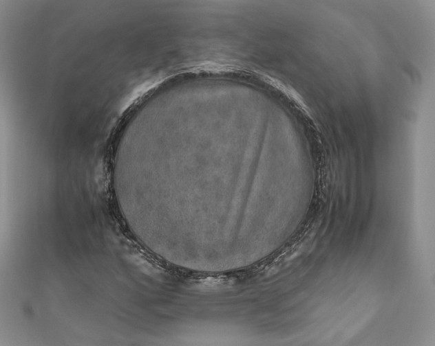 X0000110891160200907021511