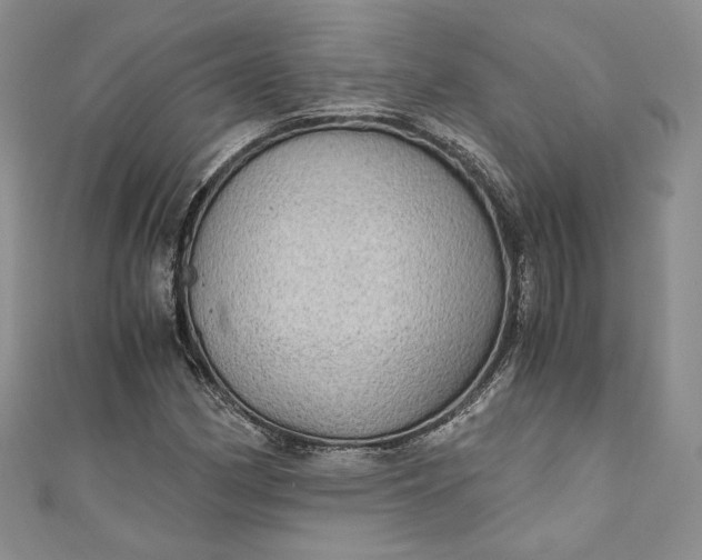 X0000110891162200907021511