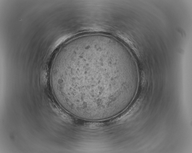 X0000110891163200907021511