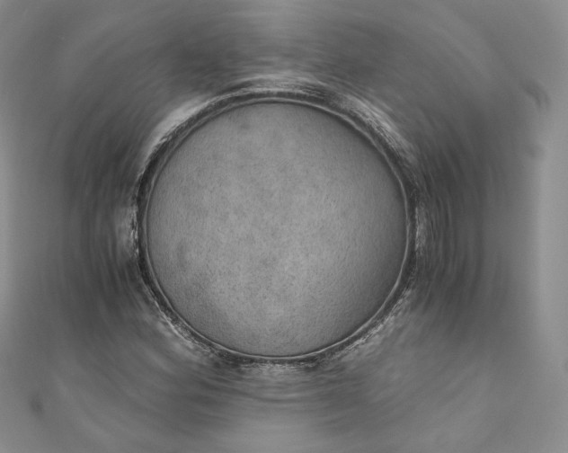 X0000110891164200907021511