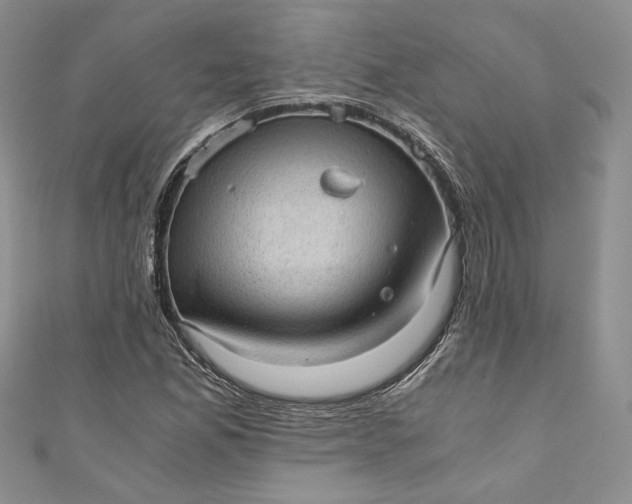 X0000110891165200907021511