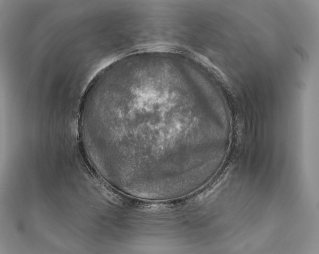 X0000110891166200907021511
