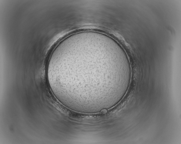 X0000110891167200907021511