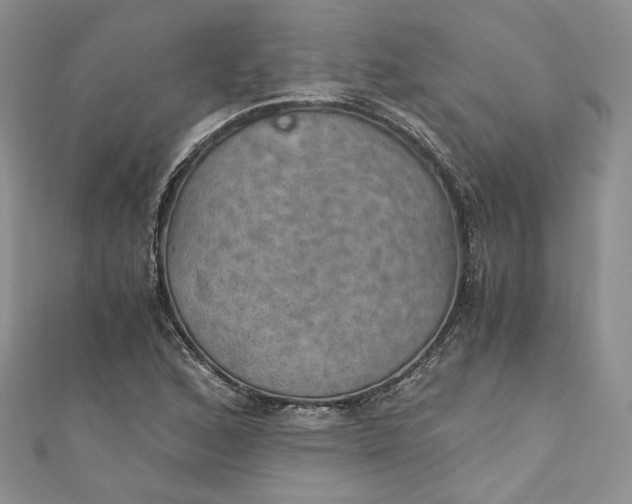 X0000110891168200907021511