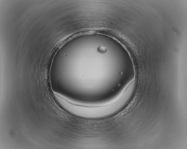X0000110891169200907021511
