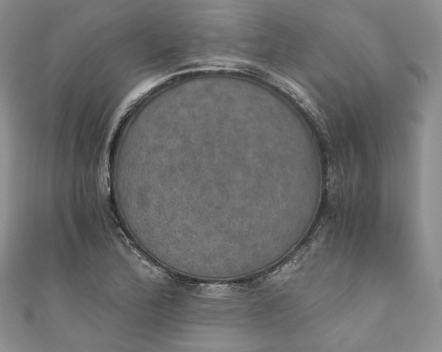 X0000110891172200907021511