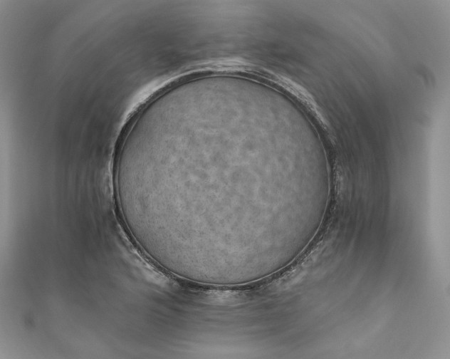 X0000110891176200907021511