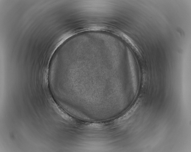 X0000110891178200907021511
