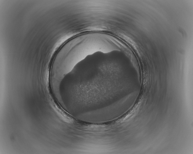 X0000110891179200907021511