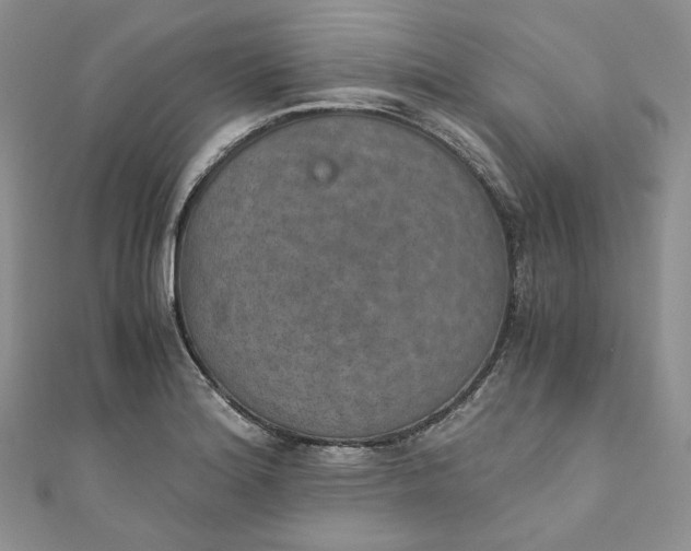 X0000110891180200907021511