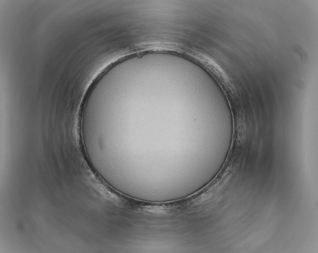X0000110891182200907021511