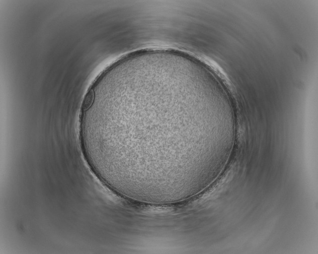 X0000110891183200907021511