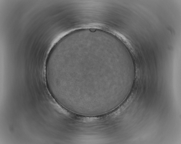 X0000110891184200907021511