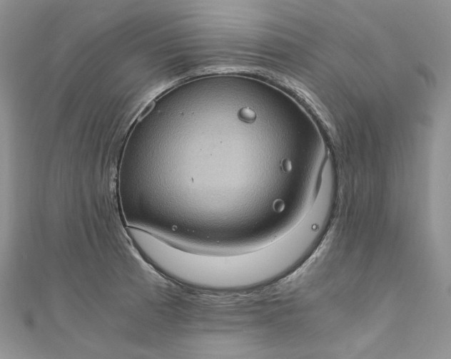 X0000110891185200907021511