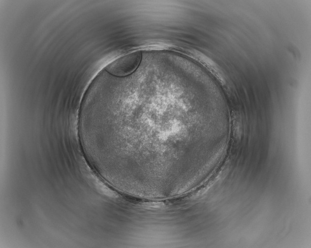 X0000110891186200907021511