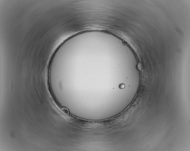 X0000110891187200907021511