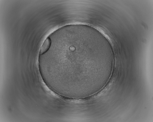 X0000110891189200907021511