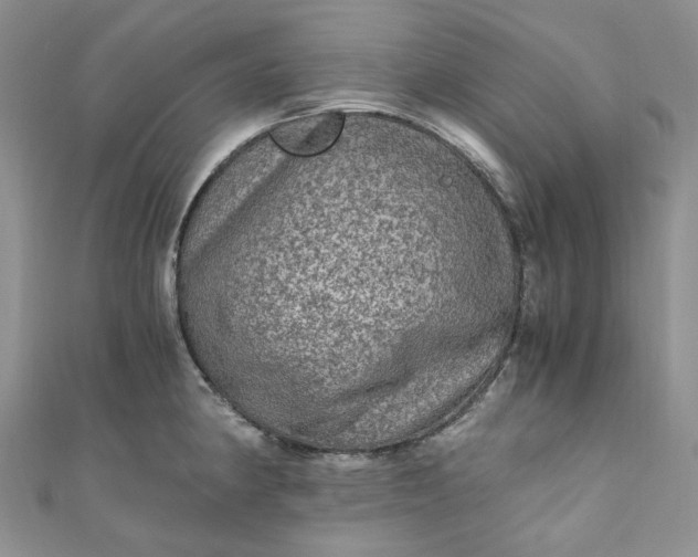 X0000110891190200907021511