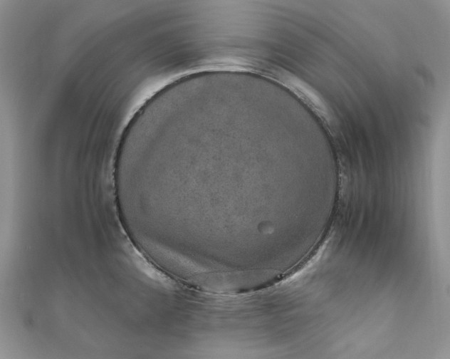 X0000110891192200907021511
