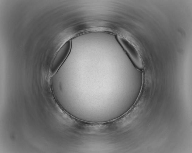 X0000110891193200907021511