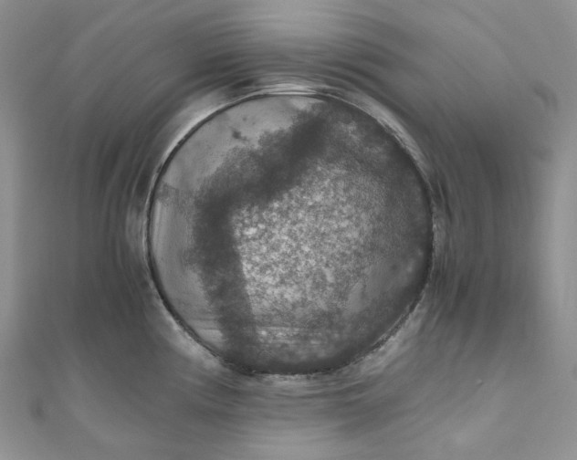 X0000110891194200907021511