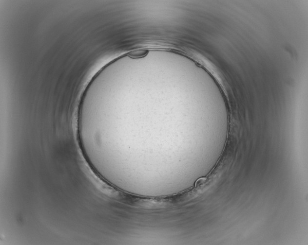 X0000110891195200907021511