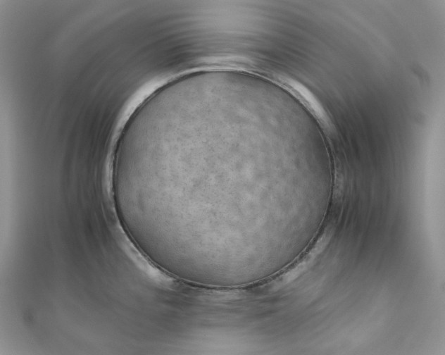 X0000110891196200907021511