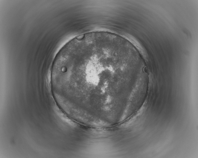 X0000110891198200907021511