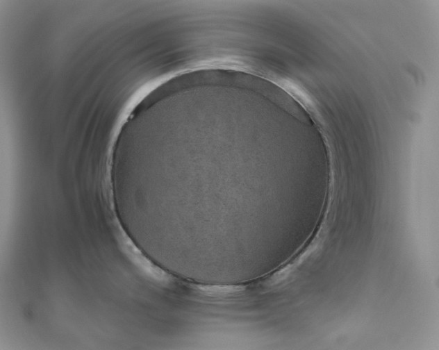 X0000110891200200907021511