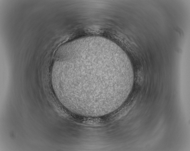 X0000110891201200907021510