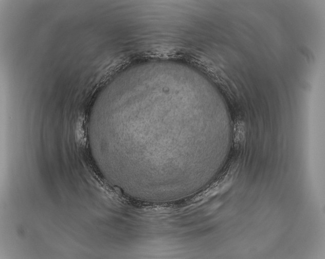 X0000110891202200907021510