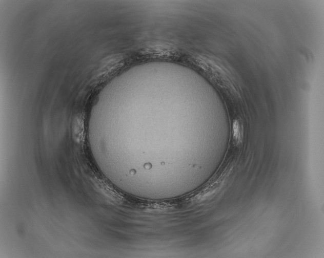 X0000110891203200907021510