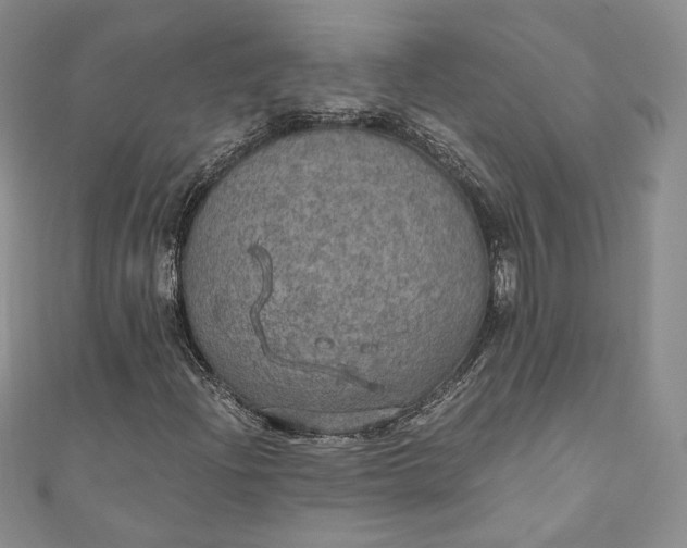 X0000110891204200907021510