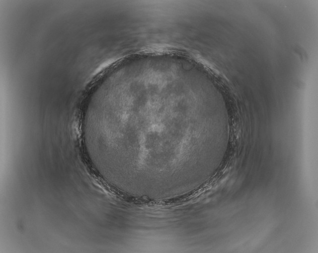 X0000110891206200907021510