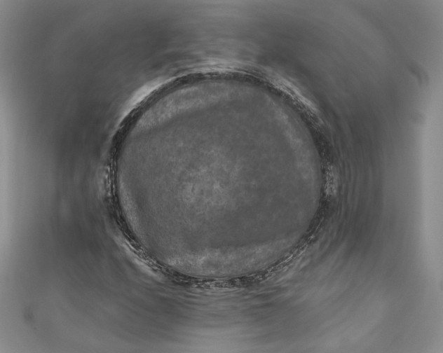 X0000110891208200907021510
