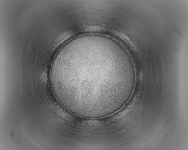 X0000110891209200907021510
