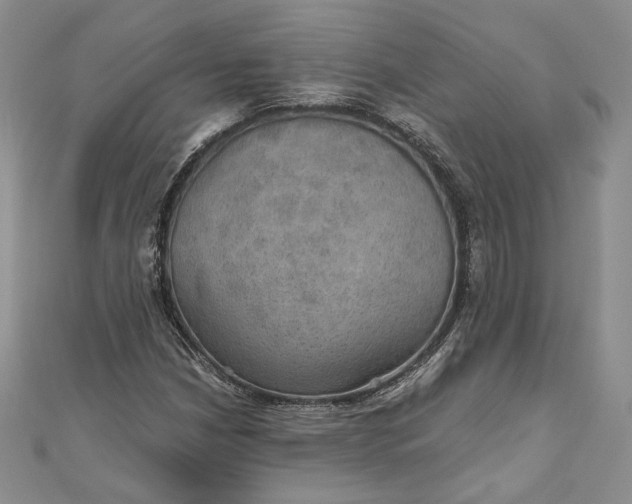 X0000110891210200907021510