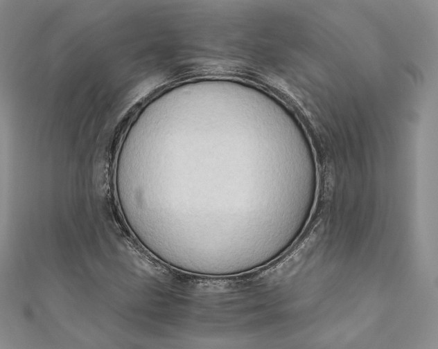 X0000110891211200907021510