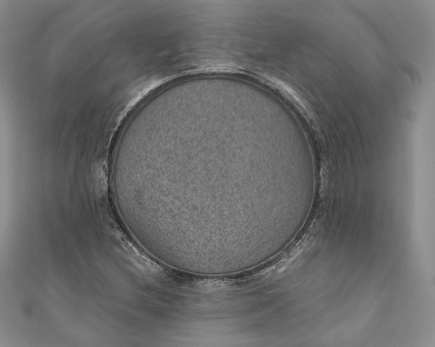X0000110891212200907021510