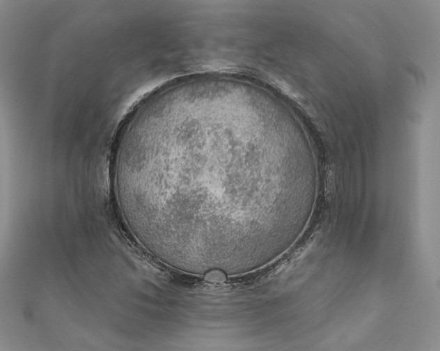 X0000110891214200907021510