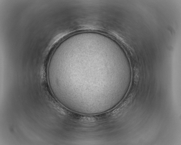 X0000110891215200907021510