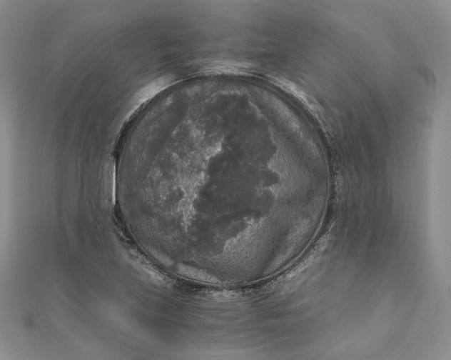 X0000110891219200907021510