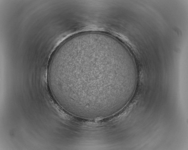 X0000110891220200907021510