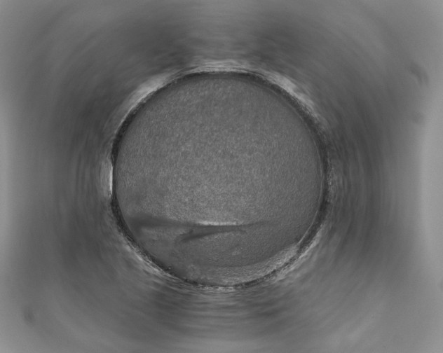 X0000110891221200907021510