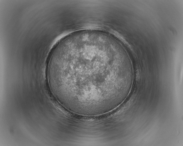 X0000110891222200907021510