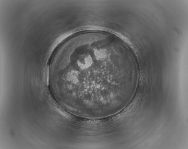 X0000110891223200907021510