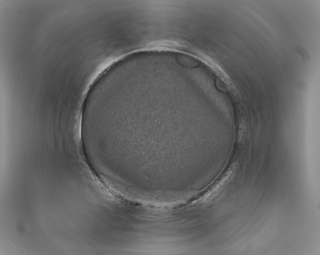 X0000110891224200907021511