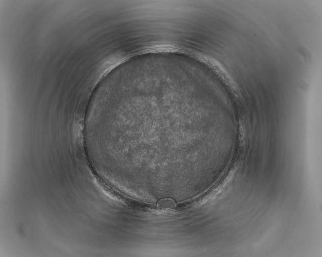 X0000110891225200907021511